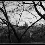 staré město z letné