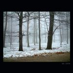 Zima este nekonci II.