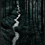 (Má)krajina věčných stínů(...krajiny stínů...)