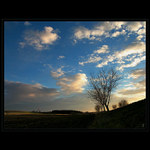 snad křídla bílá budu mít(...magická zastavení...)