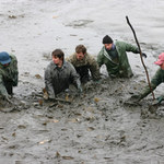 Rybičky, rybičky ...