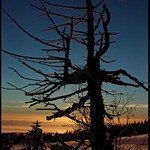 Podvečer v Krkonoších