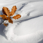 <b>... zima ...</b><br>