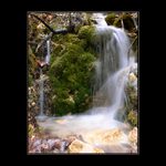 <b>... Horský potok ...</b><br>