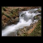 <b>... Horský potok I ...</b><br>
