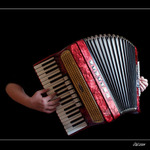 Ruce a akordeon