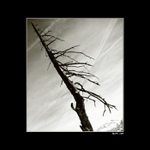 ..:: Alpy I ::..