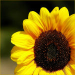 Vzpomínka na budoucnost...