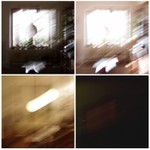 Jeden den okna do zahrady