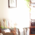 VNITŘNÍ ZAHRADY