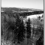 Výhledofka obecná - Jizerskokrkonošská