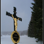 Javorník 2004