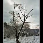 STROM