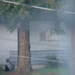 ..:: Náš Mňouk ::..