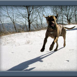 Dej sem buřta, bídný červe....