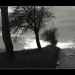 Cesta zo Šípkového