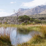 Národní park Gadaloupe, USA