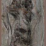 Pojď a svěř se mi...