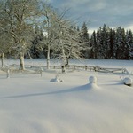 ráno