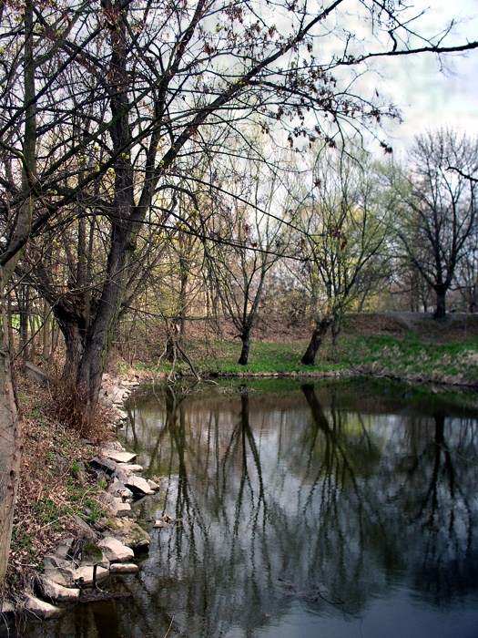 předjaří