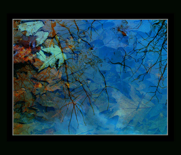 #color#