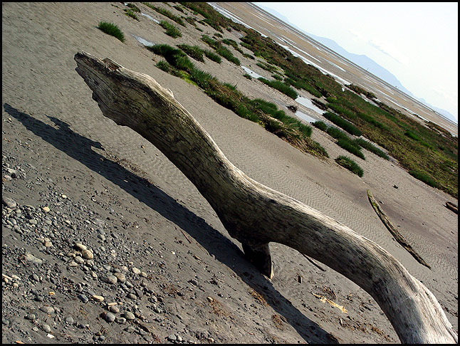 Dinousaurus - plážovka II