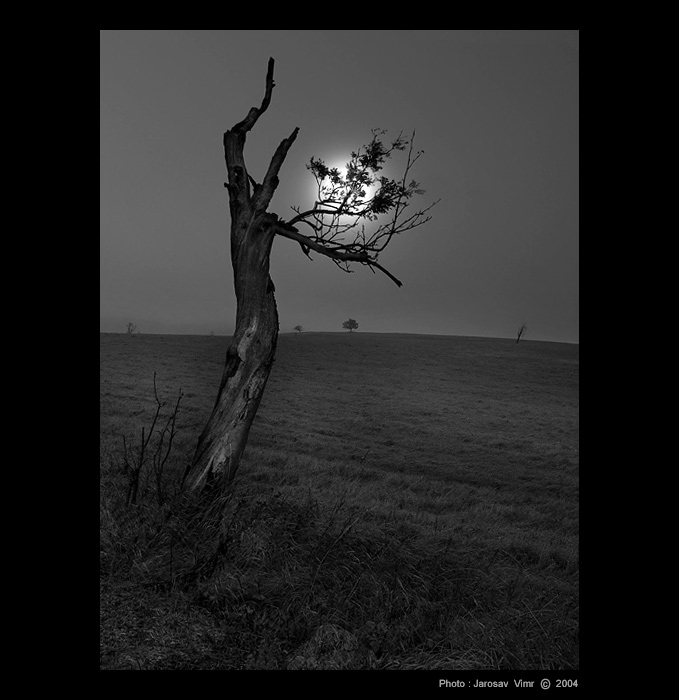 <b>- SAMOTÁŘ -</b>