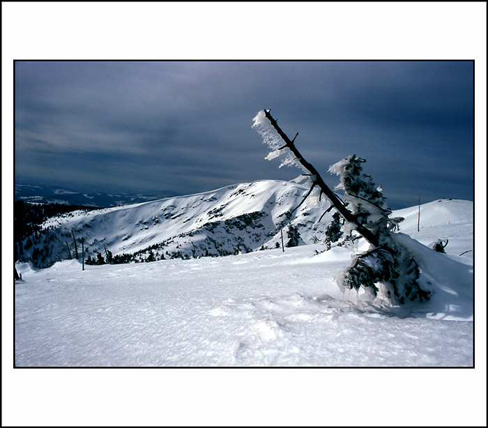 <b>Krkonošská</>