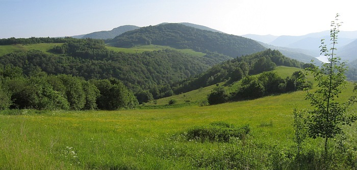 Letný ružín III.