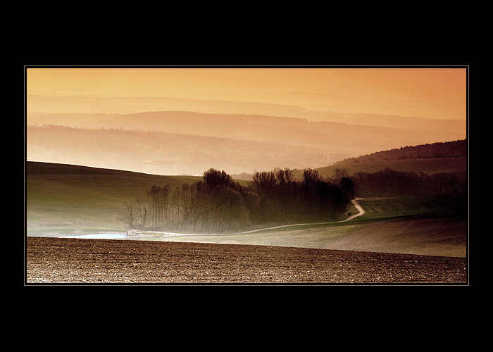 A JITRA JSOU ZDE MLŽNÁ