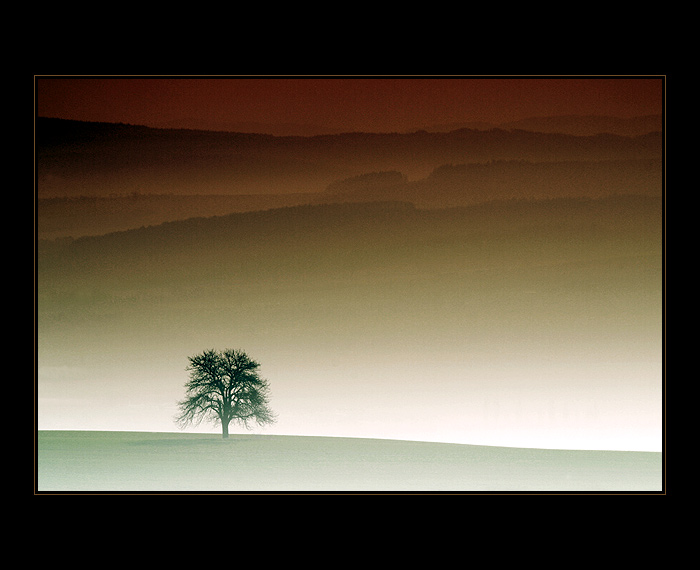 A JITRA JSOU ZDE MLŽNÁ