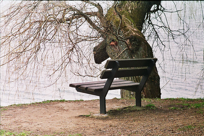 O opuštěné lavičce a tiché vrbě (tentokrát z Exakty)