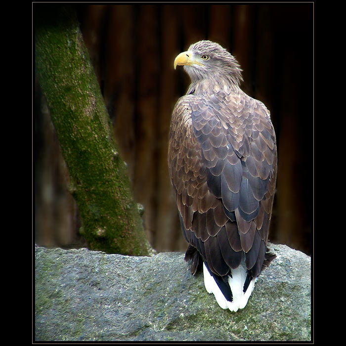 <B>.."TAK KDO TADY ŠÉFUJE?"..