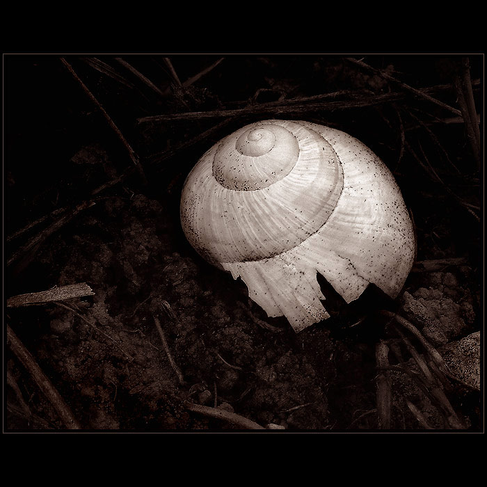 <b>:.DŮM NA KONCI MĚSTA.: