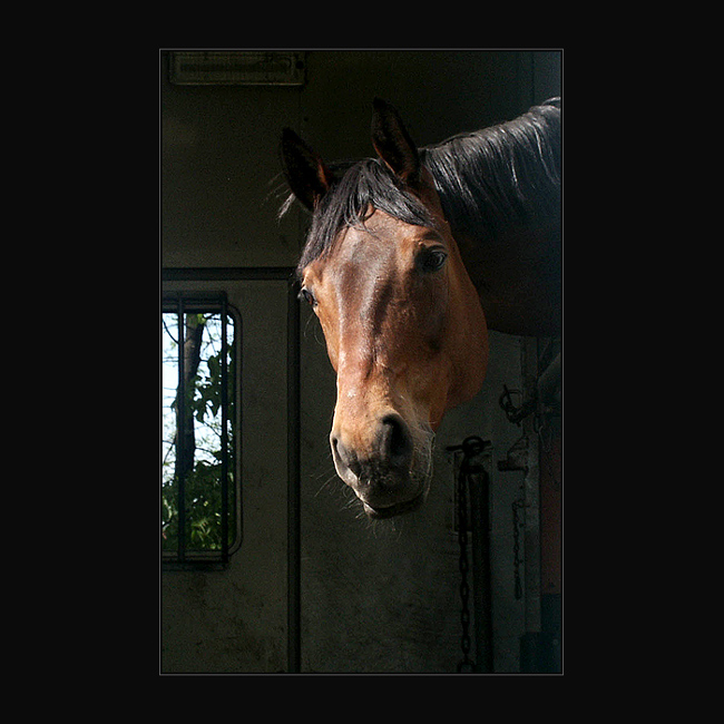  *  CO SE TADY DĚJE? *