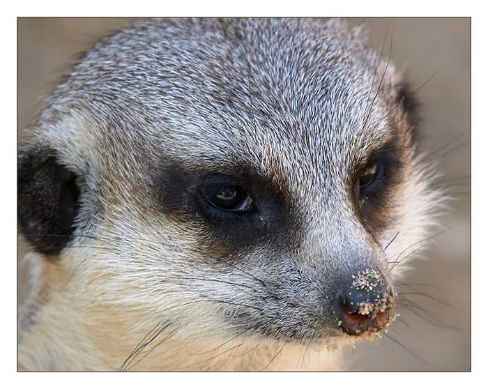 vizážistka to odflákla