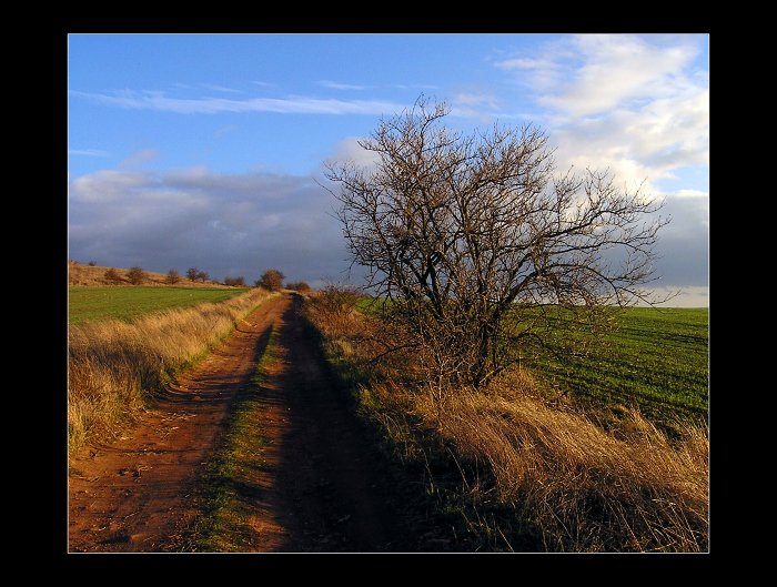 cestou do neznáma.....