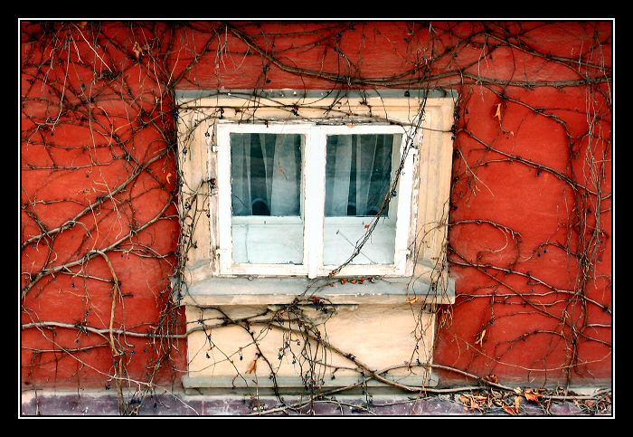 Nove MS Windows :-)