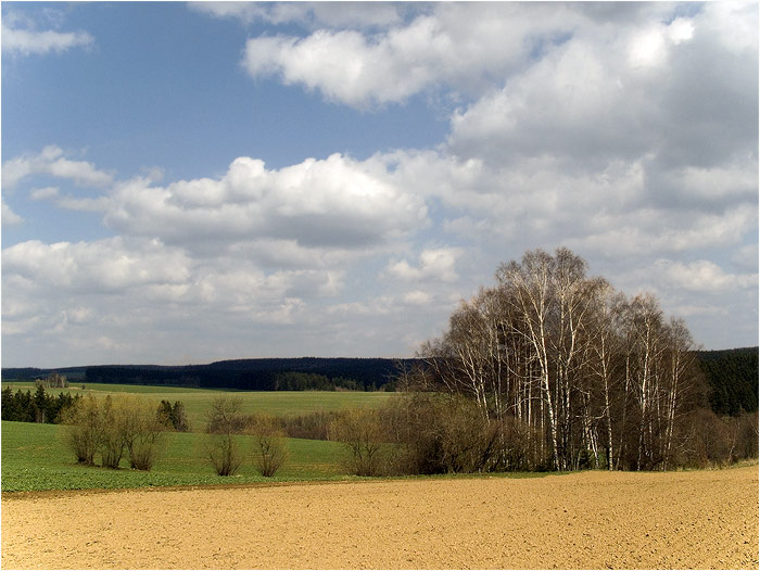 <B>u Rozsochatce</B>