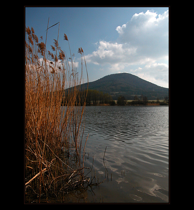 <b>V rákosí pod Vlhoštěm</b>