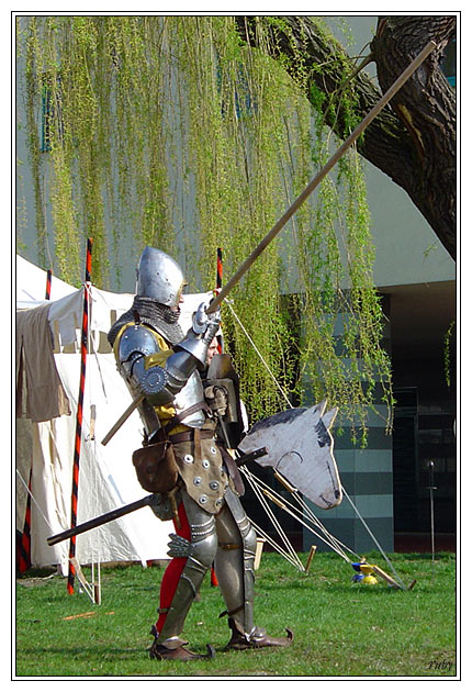 Don Quijote de la Mancha