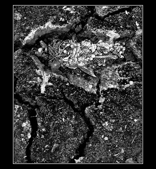 Poločas rozkladu...