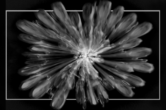 "galaxy II. "