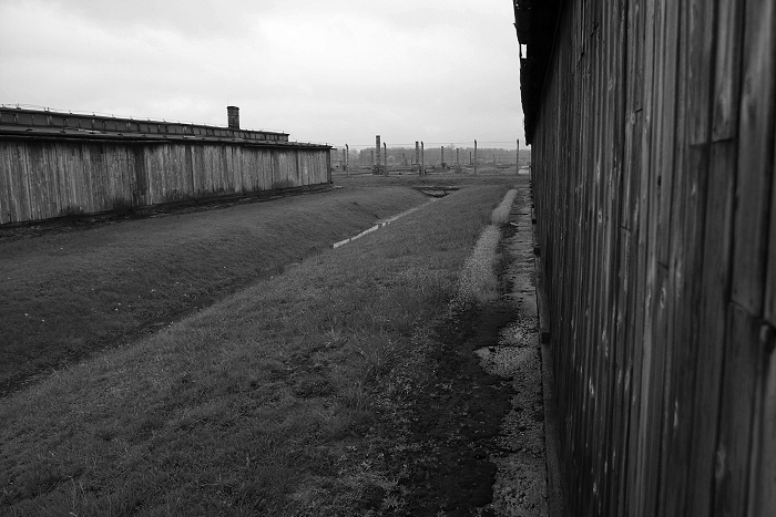 Birkenau