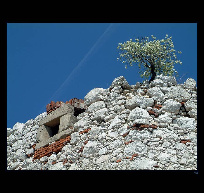 Kousek života