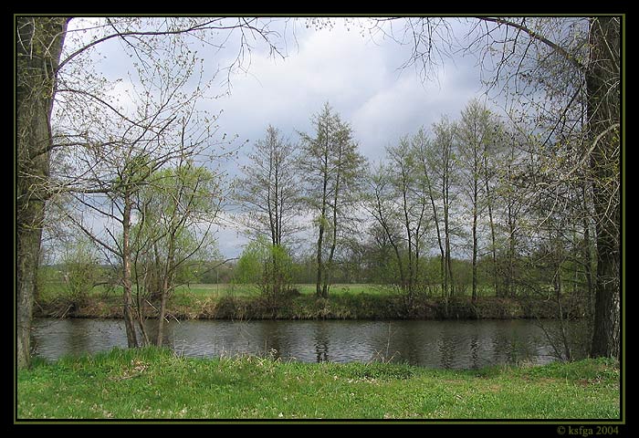 Orlice
