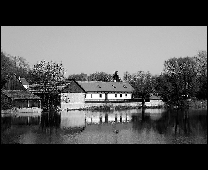 <b><em>Vražda</b>