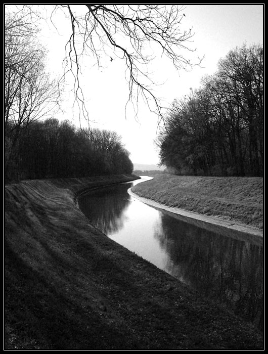 Olšava