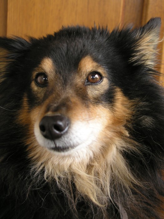 Denny