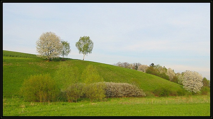 Jaro na kopečku II